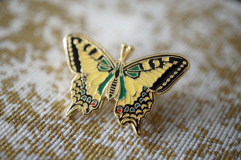 Pin Schmetterling Schwalbenschwanz Bild 1