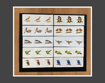 10 x 3 Sticker mit Vogelmotiven: Stieglitz, Rotkehlchen, Specht, Prachtelfe, Schmuckelfe, Eisvogel - 10 x 3 stickers with bird motifs