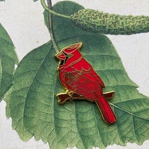 Pin Roter Kardinal Pin Red Cardinal Bild 2