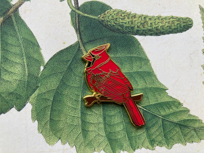 Pin Roter Kardinal Pin Red Cardinal Bild 2