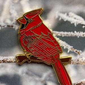 Pin Roter Kardinal Pin Red Cardinal Bild 6
