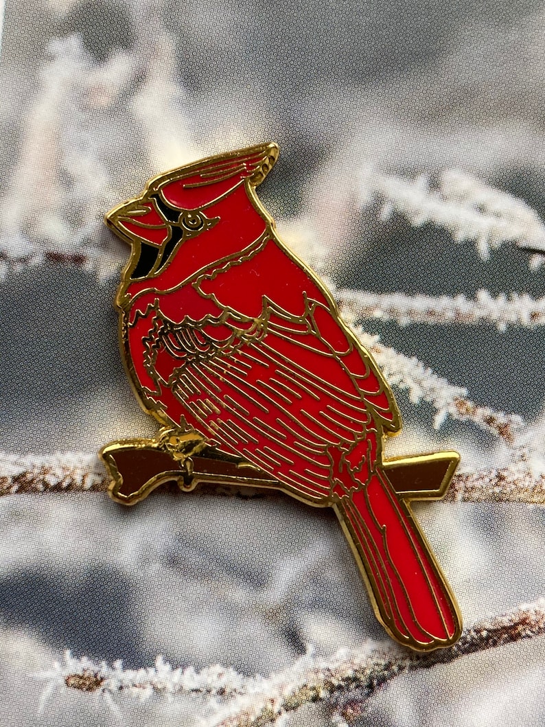 Pin Roter Kardinal Pin Red Cardinal Bild 6