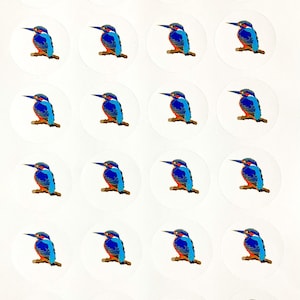 24 autocollants avec le motif martin-pêcheur