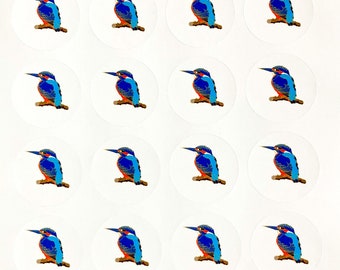 24 autocollants avec le motif kingfisher