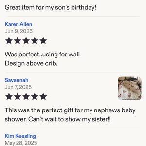 Personalisierte Stockenten Enten Baby Decke Stockenten Nursery Dekor Baby-Dusche-Geschenk Stockenten Enten Baby Name Decke Stockenten Kinderzimmer Geschenk Bild 8
