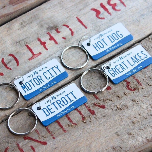 Personalized License Plate Michigan Etsy