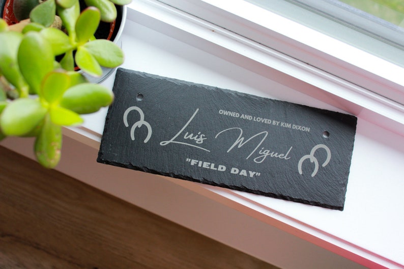 Puede incluir: Un letrero de pizarra negra con el nombre "Luis Miguel" grabado en letras plateadas. El letrero tambi&eacute;n incluye dos s&iacute;mbolos de herradura plateados y el texto "Owned and Loved by Kim Dixon" y "Field Day".