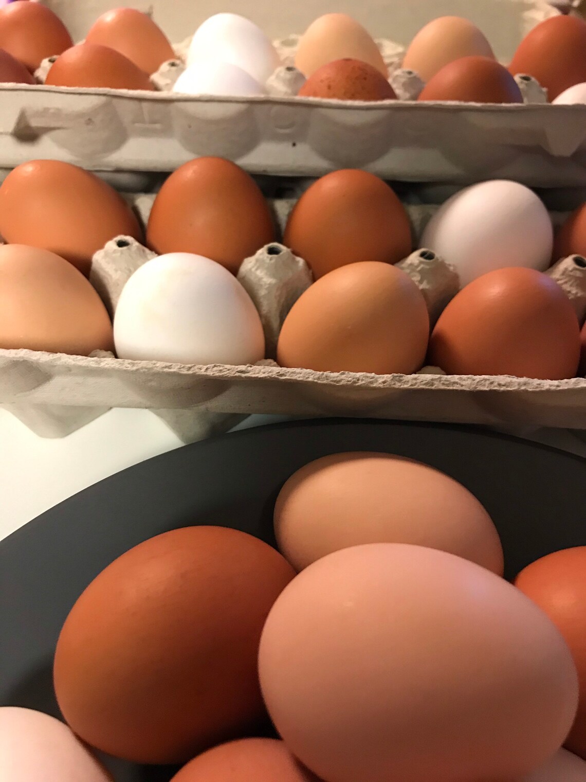 Organic Free range chicken eggs 1 dozen Etsy