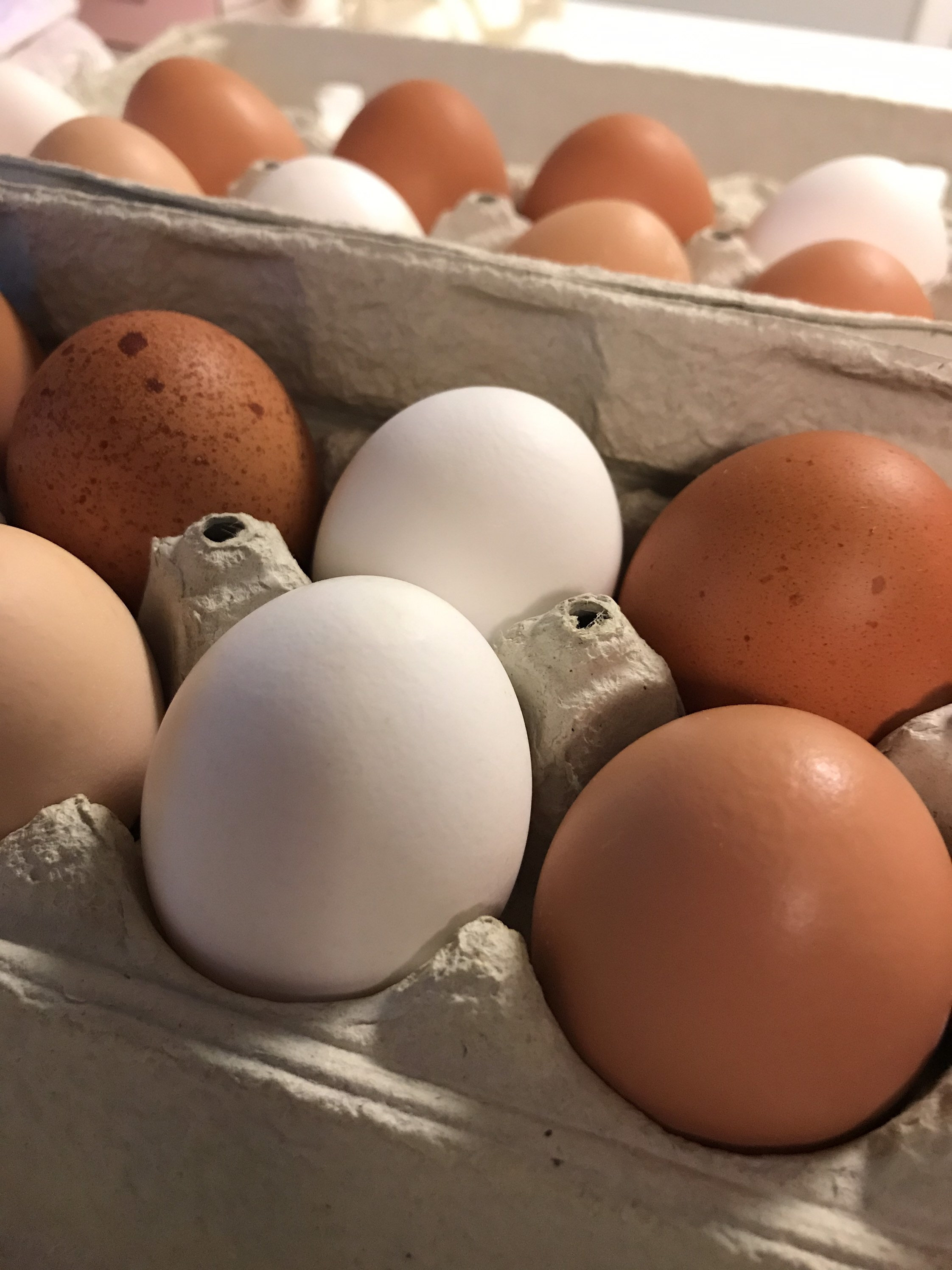 Organic Free range chicken eggs 1 dozen Etsy