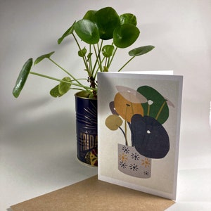 Tarjeta de felicitación con planta en maceta, tarjeta con planta para cumpleaños, tarjetas con plantas, tarjetas con plantas de dinero, tarjetas con plantas de dinero chinas, tarjetas para ella, para él, ahorre un 30 %