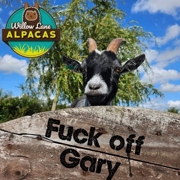 Gary Goat adult humour keyring