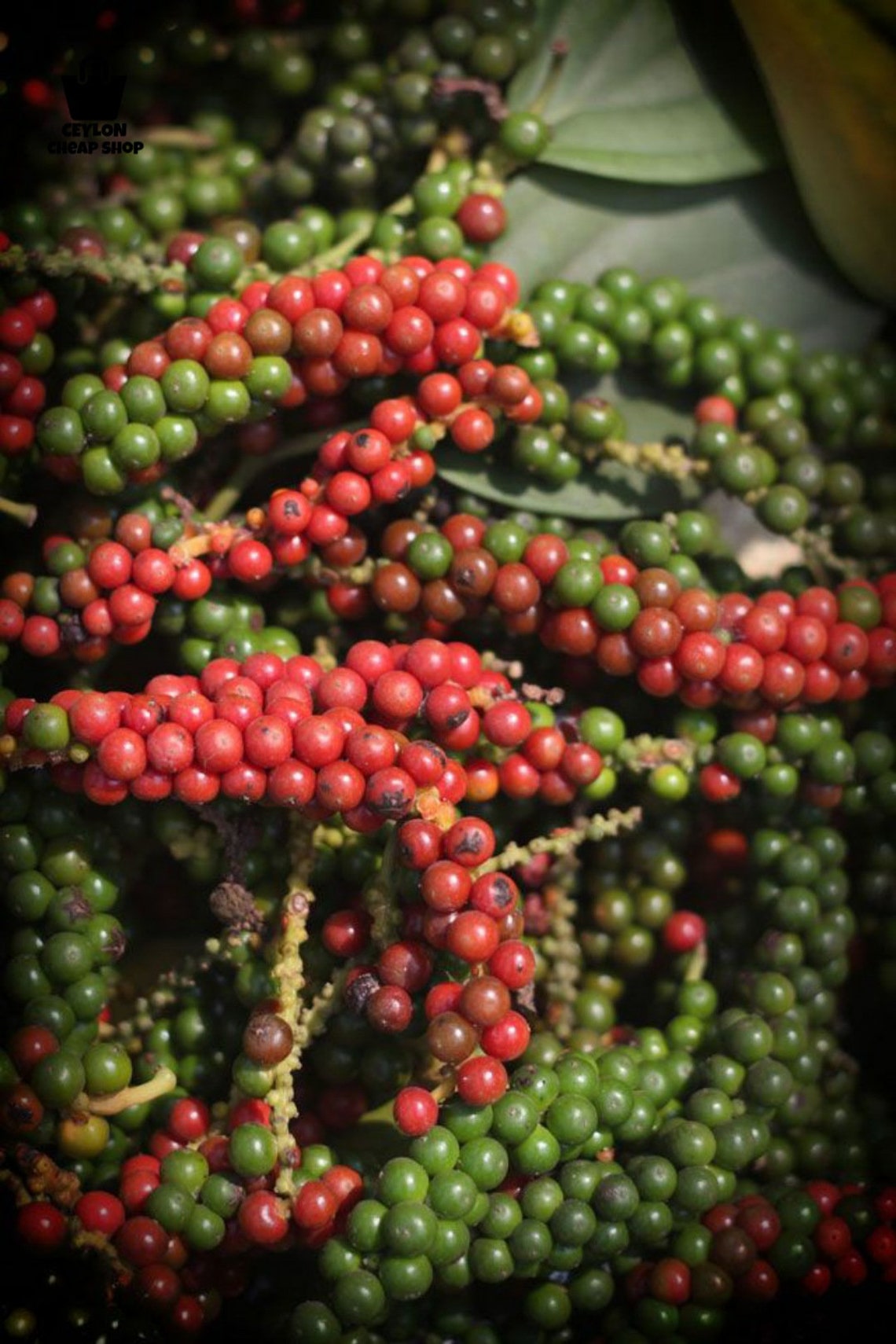 Ceylon Organic Black Pepper 100 Pure Natural Kali Mirch Etsy