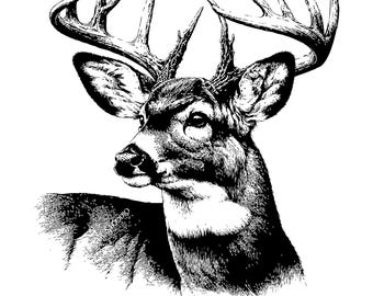 White Tail Deer Head Laser Engrave File, SVG PNG JPG, LightBurn GlowForge, Cutting Boards Coasters