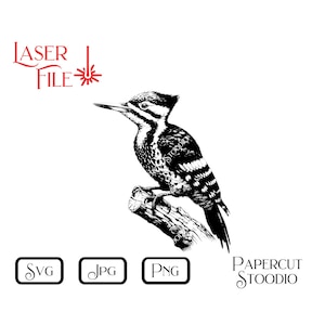 Lasergraveerbestand, Pileated Woodpecker SVG, LightBurn GlowForge-borden snijplanken voor Cabin Lodge Cottage rustiek gepersonaliseerde geschenken