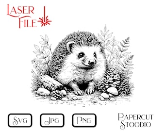 May include: Black and white line art illustration of a hedgehog sitting in a woodland setting. The hedgehog is surrounded by leaves, pine cones, and mushrooms.