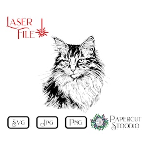 Gato SVG, para design de camisa gravada a laser, placa de boas-vindas, caneca e copo, sublimação, vidro, gravura, porta infantil, papelaria, cartão de aniversário, arte de parede