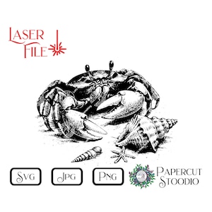 May include: Black and white illustration of a crab with two seashells and a starfish on a sandy beach. The crab is in a defensive position with its claws raised. The seashells are open and the starfish is facing upwards.