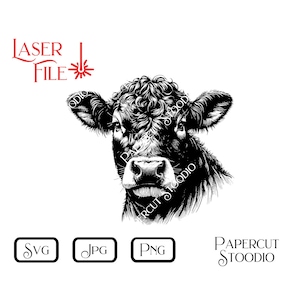 May include: Black and white line art illustration of a cow's head. The cow is looking directly at the viewer. The image is suitable for laser cutting, paper cutting, or digital design projects.