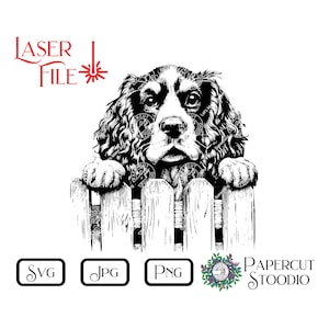 May include: Black and white illustration of a Springer Spaniel dog peeking over a wooden fence. The dog has a serious expression on its face.