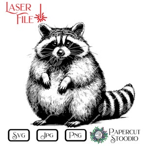 May include: Black and white line art illustration of a raccoon sitting up with its paws in front of it. The raccoon has a striped tail.