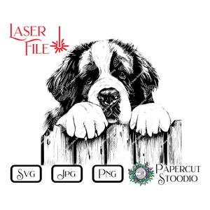 May include: Black and white illustration of a Bernese Mountain Dog peeking over a wooden fence. The dog has a sad expression and is looking at the viewer.