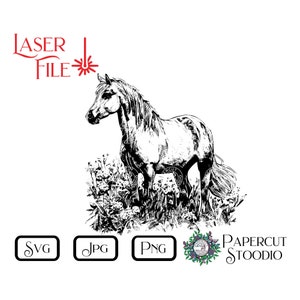 Fichier de gravure laser, cheval Palomino SVG, travail du bois LightBurn GlowForge équin pour panneaux planches à découper sous-verres cadeaux personnalisés