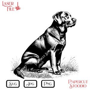 May include: Black and white illustration of a Labrador Retriever dog sitting in grass. The image includes the text "LASER FILE" and file type icons for SVG, JPG, and PNG. The words "PAPERCUT STOODIO" are also present.