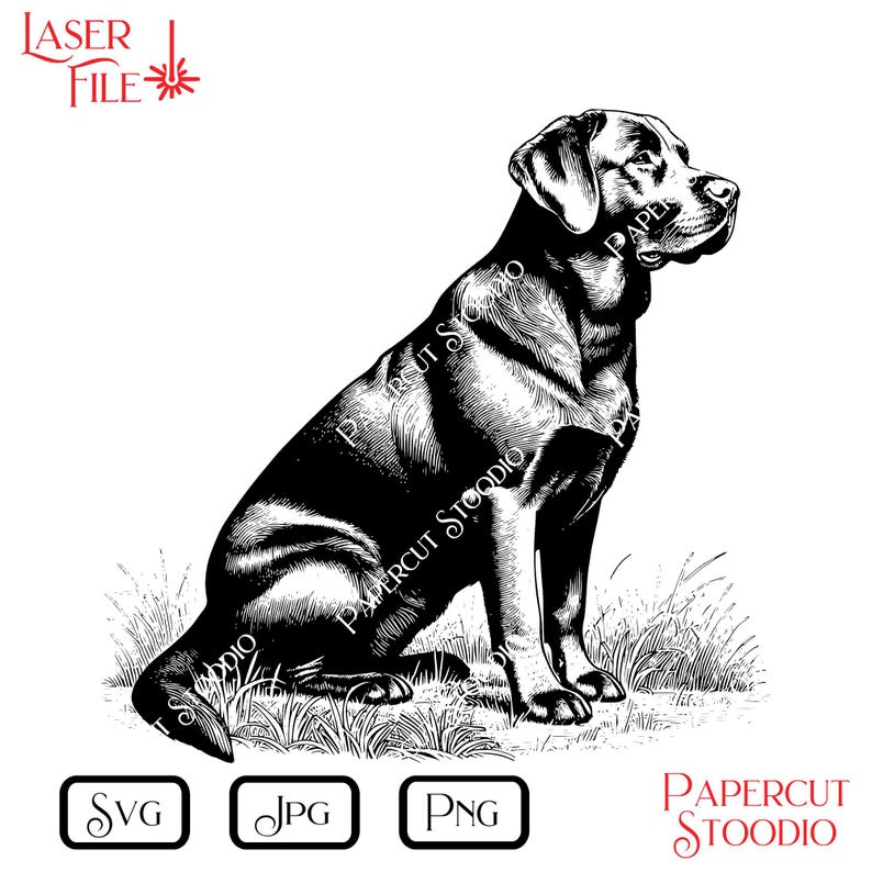 May include: Black and white illustration of a Labrador Retriever dog sitting in grass. The image includes the text "LASER FILE" and file type icons for SVG, JPG, and PNG. The words "PAPERCUT STOODIO" are also present.