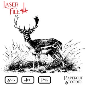Laser Engrave File, Fallow Buck Svg, Lightburn Glowforge Digital ...