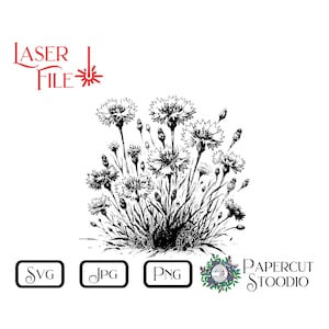 May include: Black and white line art illustration of a cluster of wildflowers. The flowers have a delicate, intricate design and are arranged in a natural, flowing pattern.