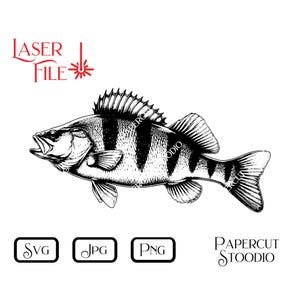 May include: Black and white line art illustration of a perch fish. The fish is facing left and has a detailed design with fins and scales. The image is suitable for laser cutting, paper cutting, or digital printing.