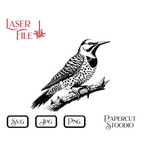 May include: Black and white illustration of a woodpecker perched on a branch. The bird has a speckled breast and detailed wing patterns. The image includes the text "LASER FILE" and file type icons for SVG, JPG, and PNG.