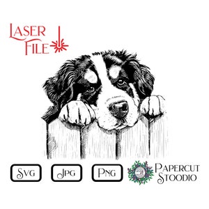 Lasergraveerbestand, Berner Sennenhond Peek SVG, DIY deurhanger hondenhek bord LightBurn GlowForge houtbewerking hond graveerbord welkom