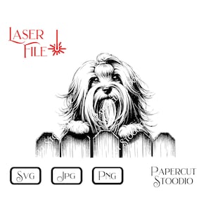 Op de afbeelding: Zwart-witte lijntekening van een kleine hond die over een houten hek kijkt. De hond heeft lang, pluizig haar en kijkt recht naar de kijker.