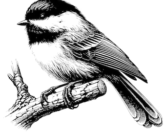 Black Capped Chickadee Laser Engraving File, SVG PNG JPG, LightBurn, GlowForge, Rustic Cutting Boards