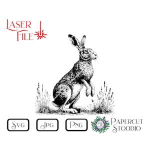 File di incisione laser, lepre cauta SVG, cartelli LightBurn GlowForge, taglieri, sottobicchieri per decorazioni per la casa, cottage, fauna selvatica, regali personalizzati