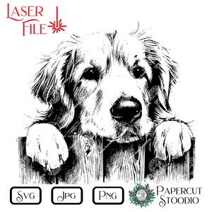 Może przedstawiać: Czarno-biała ilustracja psa Golden Retriever wyglądającego znad drewnianego płotu. Obraz zawiera czerwony tekst "LASER FILE" oraz ikony typ&oacute;w plik&oacute;w SVG, JPG i PNG. Widoczne jest r&oacute;wnież logo Papercut Stoodio.