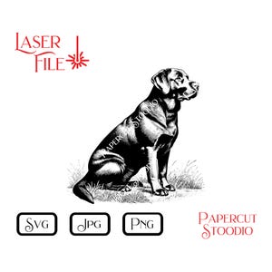 May include: Black and white illustration of a Labrador Retriever dog sitting in grass. The image includes the text "LASER FILE" and "PAPERCUT STOODIO", along with SVG, JPG, and PNG file type icons.