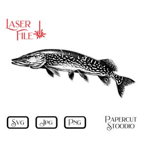 May include: Black and white line art illustration of a pike fish. The fish is facing left and has a detailed, realistic design. The image is suitable for use in a variety of projects, such as laser cutting, paper crafts, and digital design.