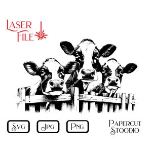Lasergraveerbestand, Holstein koeien SVG, voor LightBurn GlowForge DIY borden snijplanken hout kunst geschenken Ranch & boerderij decor hek Peek