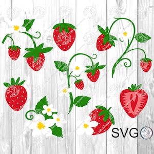 Fleurs de fraisier SVG, fruits baies fleur fleurs Cricut téléchargement numérique tasse cadeau autocollant Mug