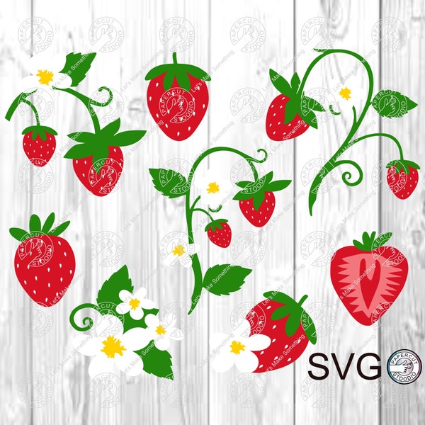 Strawberry Blossoms SVG, Fruit Berry Flower Cricut Flowers Digital Download Cup Gift Sticker Mug
