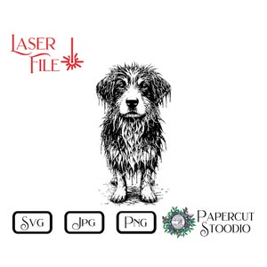 May include: Black and white line art illustration of a wet dog with a sad expression. The dog is standing with its paws on the ground and its head tilted down. The dog's fur is dripping with water.