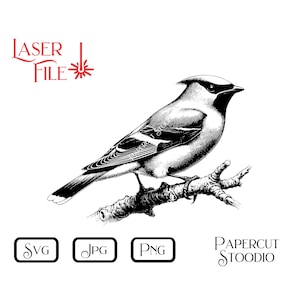 May include: Black and white line art illustration of a bird perched on a branch. The bird has a crest on its head and is facing to the right. The image is labeled "Papercut Stoodio".