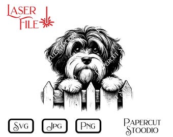 Può includere: Illustrazione in bianco e nero di un piccolo cane che guarda da sopra una recinzione di legno. Il cane ha un pelo soffice e guarda lo spettatore.