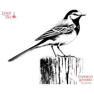 Puede incluir: Un juego de tres botes de cerámica con tapas. Los botes blancos tienen una superficie texturizada y un patrón geométrico en tonos azules y grises. Las tapas son azules.