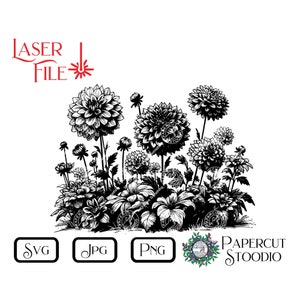 May include: Black and white line art illustration of a cluster of dahlias with leaves and stems. The image is labeled "Laser File" and "Papercut Stoodio".