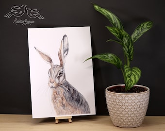 A4 Hare Art Print - Wildlife Artwork - Unmounted - British Wildlife - Brown Hare