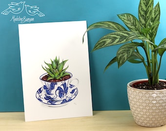 A4 Art Print - Plant in a teacup -  Haworthia - Artwork - Unmounted  - Houseplant Illustration