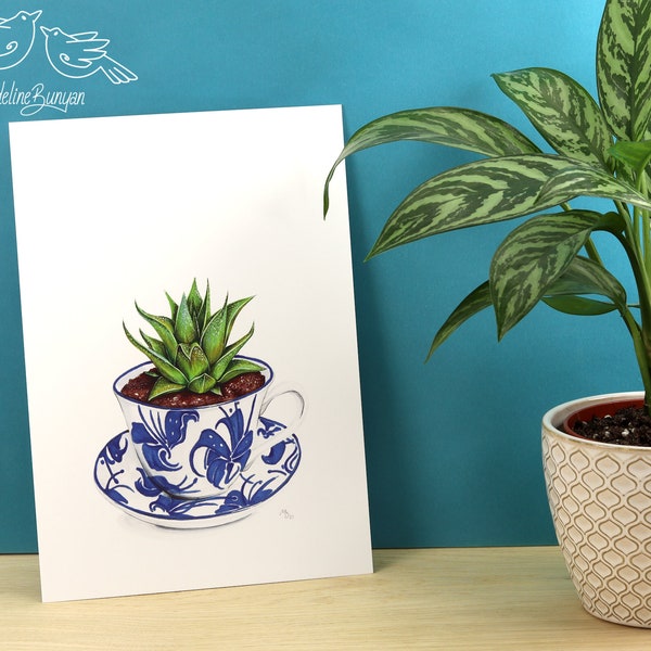 A4 Art Print - Plant in a teacup -  Haworthia - Artwork - Unmounted  - Houseplant Illustration